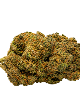 Sunset Drip fleur CBD