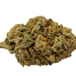 Papaya Gold