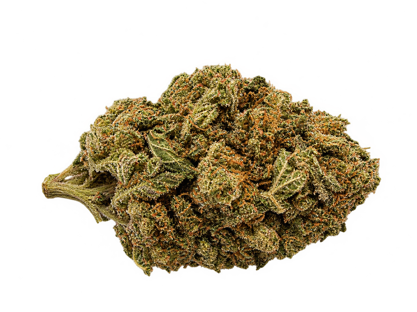 PAPAYA GOLD FLEUR CBD